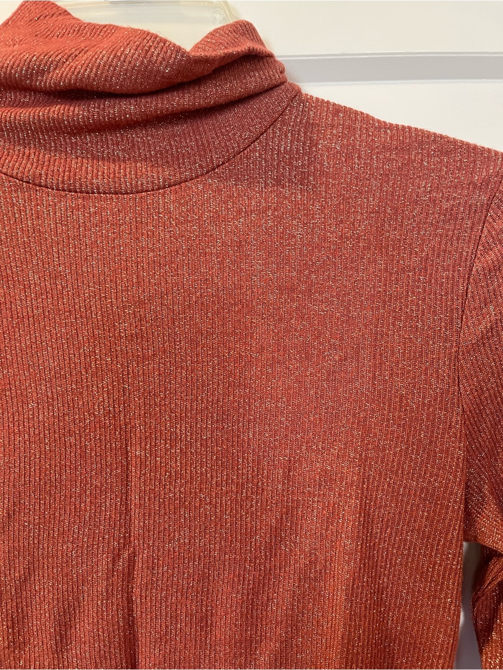 Express Sparkly Turtleneck